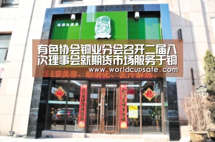 有色协会铜业分会召开二届八次理事会就期货市场服务于铜行业高质量发展进行研讨【开云电竞官网】(图3) 电竞官网