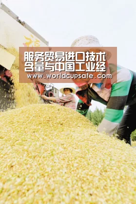 服务贸易进口技术含量与中国工业经济发展方式_开云电竞官网(图2) LOL直播