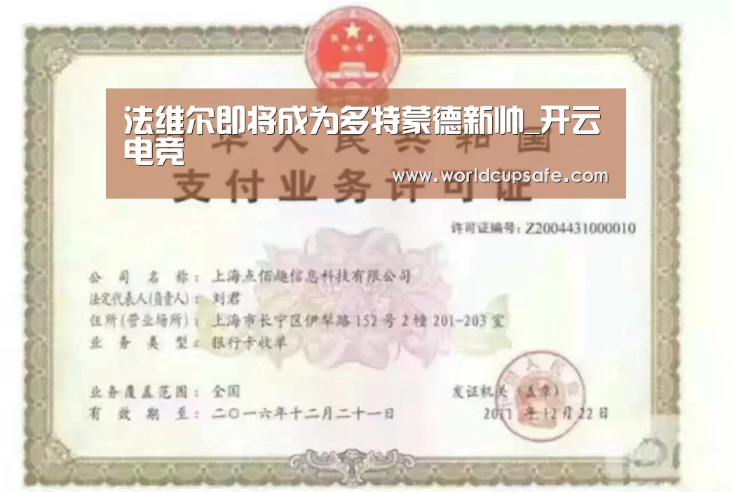法维尔即将成为多特蒙德新帅_开云电竞(图1) 电竞官网