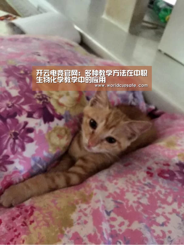 开云电竞官网:多种教学方法在中职生物化学教学中的应用(图1) 开云电竞官网
