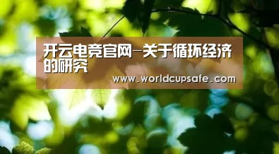 开云电竞
