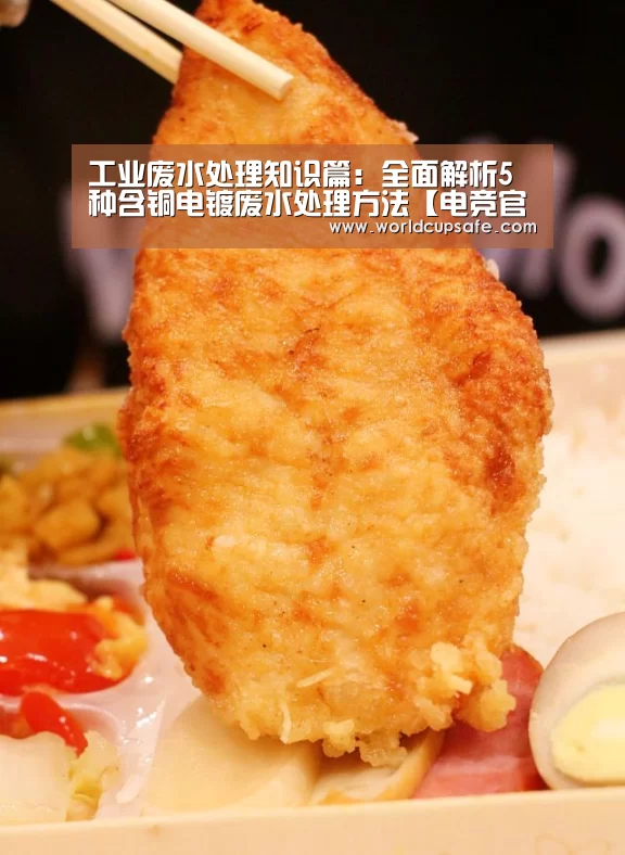 工业废水处理知识篇:全面解析5种含铜电镀废水处理方法【电竞官网】(图3) 开云电竞