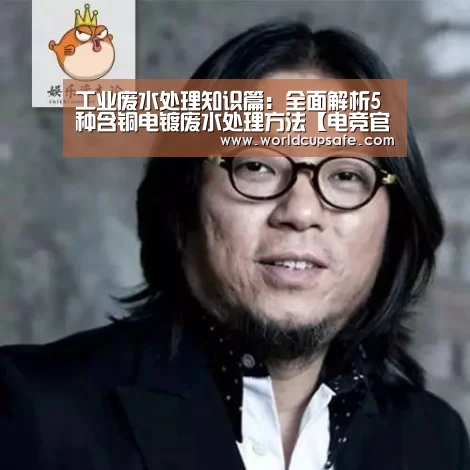 工业废水处理知识篇:全面解析5种含铜电镀废水处理方法【电竞官网】(图2) LOL直播