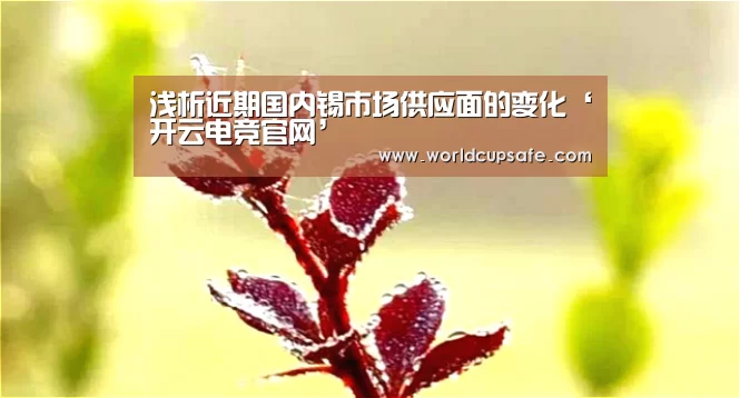 开云电竞