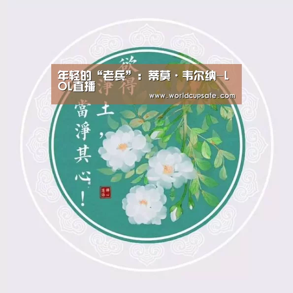 年轻的“老兵”:蒂莫·韦尔纳-LOL直播(图1) 电竞官网