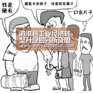 泗洪县工业经济转型升级的分析及思考‘电竞官网’(图1) 开云电竞