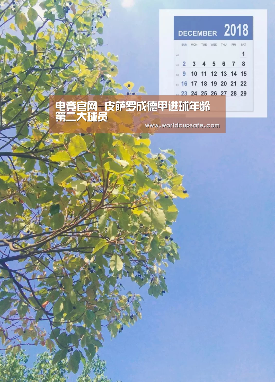 电竞官网-皮萨罗成德甲进球年龄第二大球员(图4) LOL直播