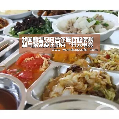我国新型农村合作医疗政府规制与路径变迁研究‘开云电竞官网’(图1) 开云电竞官网