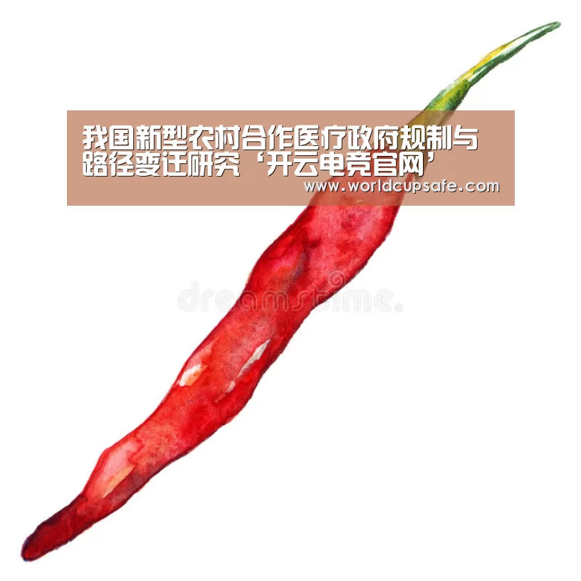 我国新型农村合作医疗政府规制与路径变迁研究‘开云电竞官网’(图2) 开云电竞官网