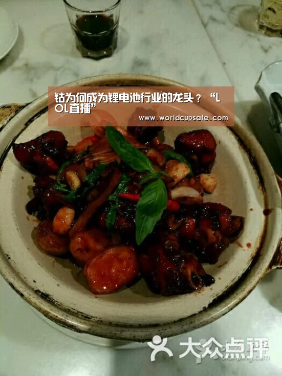 钴为何成为锂电池行业的龙头?“LOL直播”(图1) 开云电竞官网