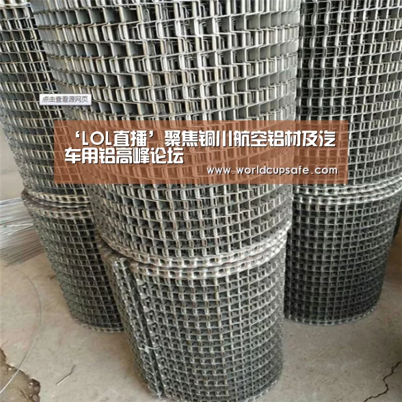 ‘LOL直播’聚焦铜川航空铝材及汽车用铝高峰论坛(图2) 开云电竞