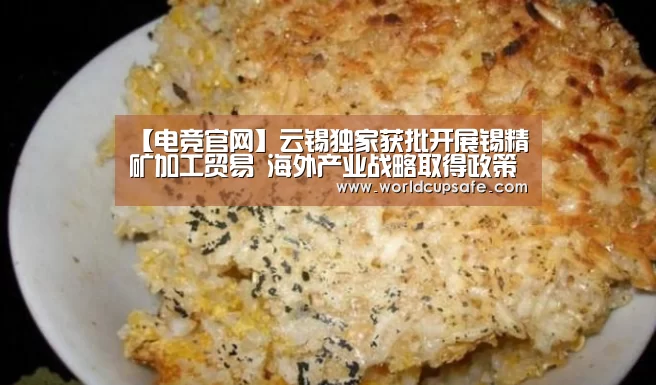 【电竞官网】云锡独家获批开展锡精矿加工贸易 海外产业战略取得政策新突破(图1) 开云电竞官网