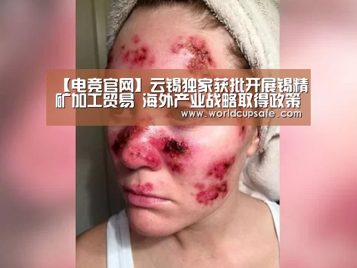 【电竞官网】云锡独家获批开展锡精矿加工贸易 海外产业战略取得政策新突破(图2) LOL直播
