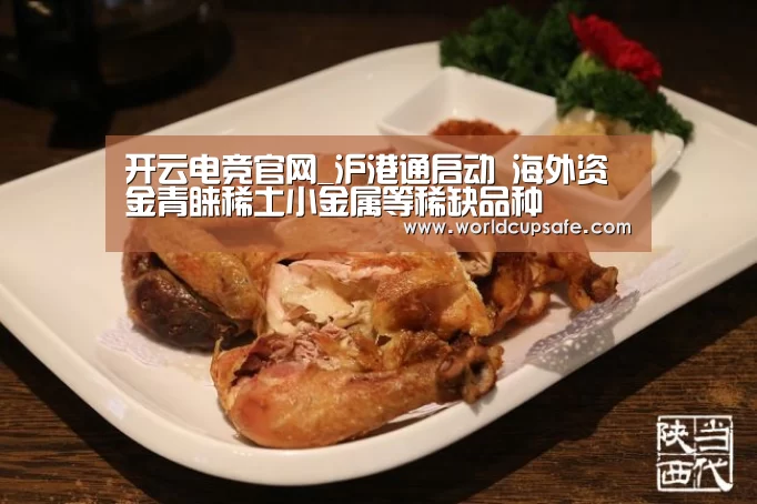 开云电竞官网_沪港通启动 海外资金青睐稀土小金属等稀缺品种(图2) LOL直播
