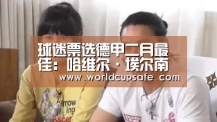 球迷票选德甲二月最佳:哈维尔·埃尔南德斯|LOL直播(图3) 开云电竞
