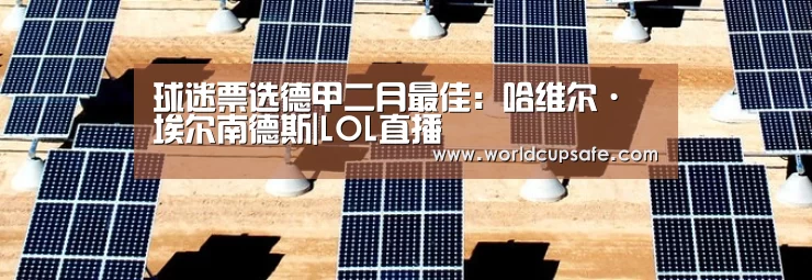 球迷票选德甲二月最佳:哈维尔·埃尔南德斯|LOL直播(图2) LOL直播