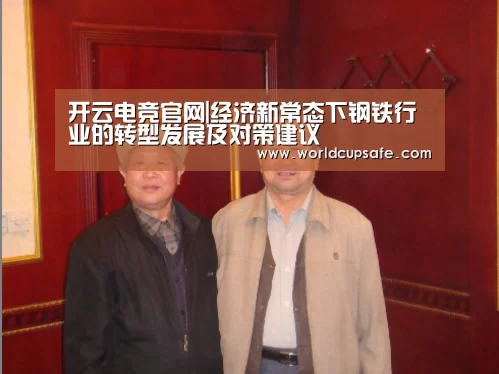 开云电竞官网|经济新常态下钢铁行业的转型发展及对策建议(图1) 开云电竞