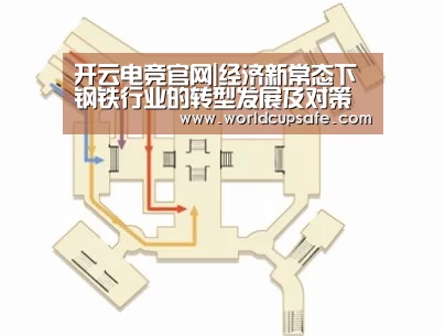开云电竞官网|经济新常态下钢铁行业的转型发展及对策建议(图2) LOL直播