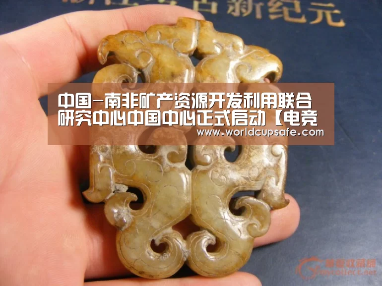 中国-南非矿产资源开发利用联合研究中心中国中心正式启动【电竞官网】(图2) 电竞官网