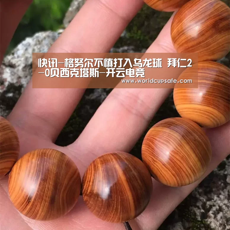 快讯-格努尔不慎打入乌龙球 拜仁2-0贝西克塔斯-开云电竞(图3) 开云电竞官网