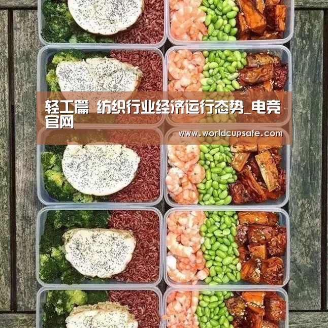 轻工篇 纺织行业经济运行态势_电竞官网(图1) 开云电竞