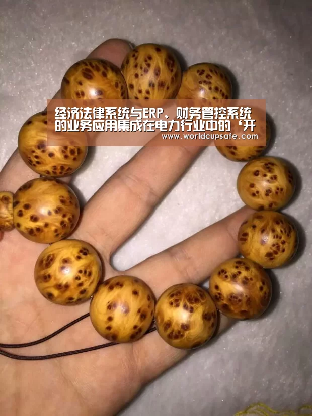 经济法律系统与ERP、财务管控系统的业务应用集成在电力行业中的‘开云电竞’(图3) 开云电竞