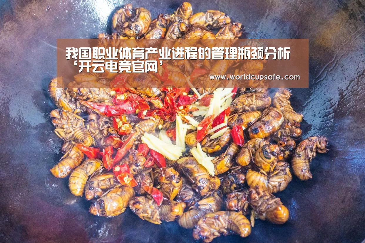 我国职业体育产业进程的管理瓶颈分析‘开云电竞官网’(图1) 电竞官网