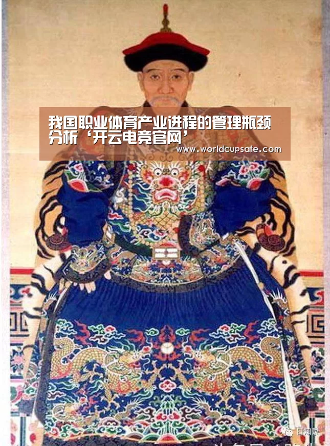 我国职业体育产业进程的管理瓶颈分析‘开云电竞官网’(图3) 电竞官网