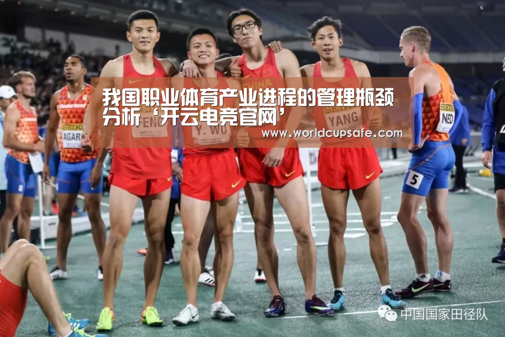 我国职业体育产业进程的管理瓶颈分析‘开云电竞官网’(图4) 电竞官网