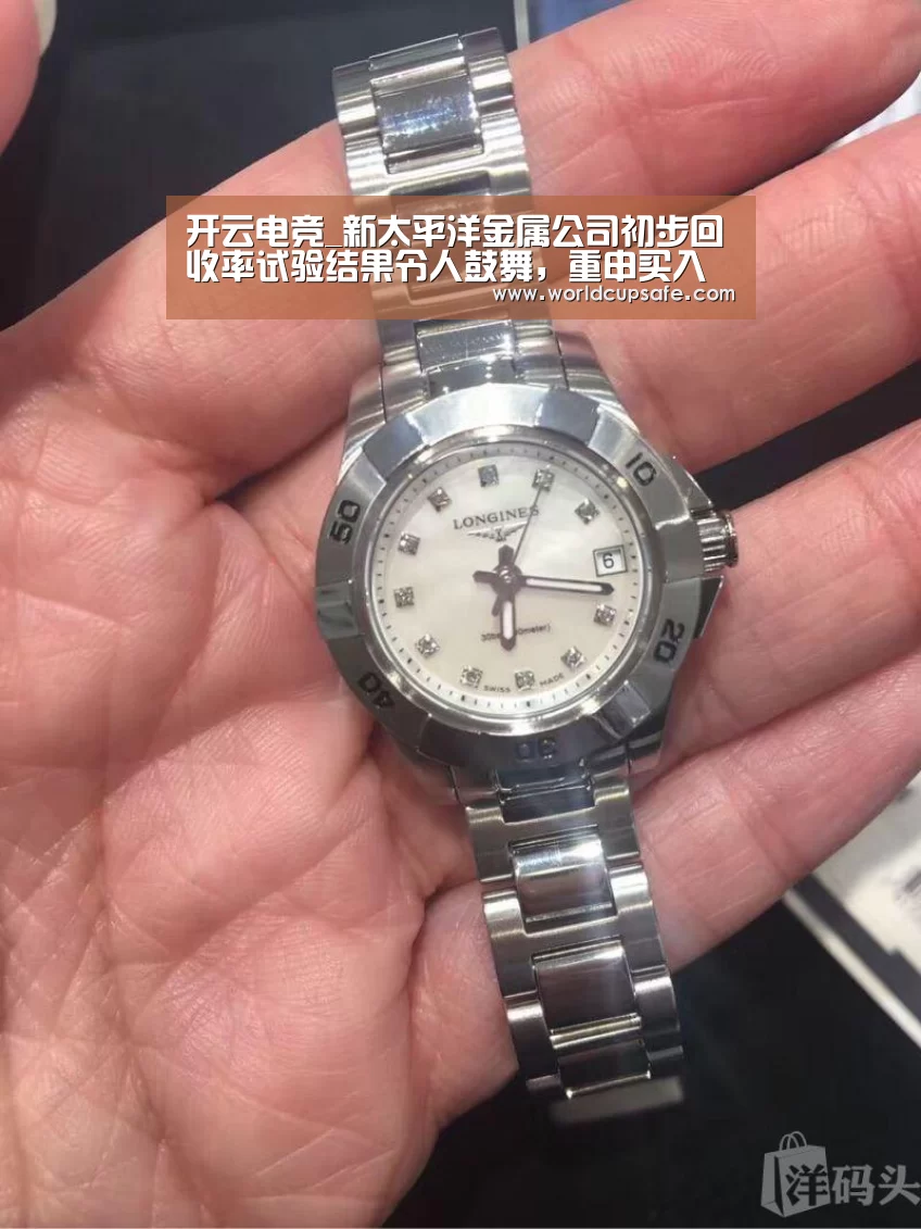 开云电竞_新太平洋金属公司初步回收率试验结果令人鼓舞,重申买入评级(图1) LOL直播