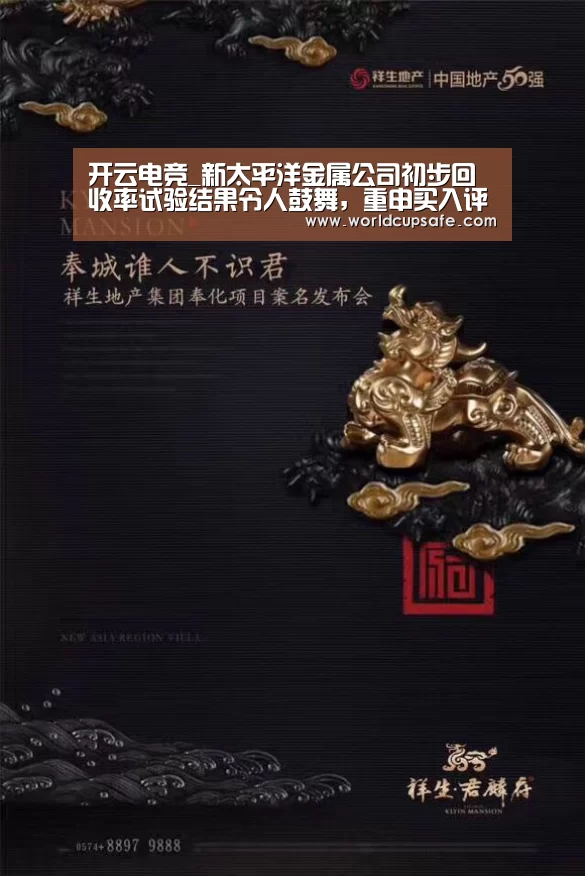 开云电竞_新太平洋金属公司初步回收率试验结果令人鼓舞,重申买入评级(图2) 开云电竞
