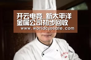 开云电竞_新太平洋金属公司初步回收率试验结果令人鼓舞,重申买入评级(图3) 开云电竞官网