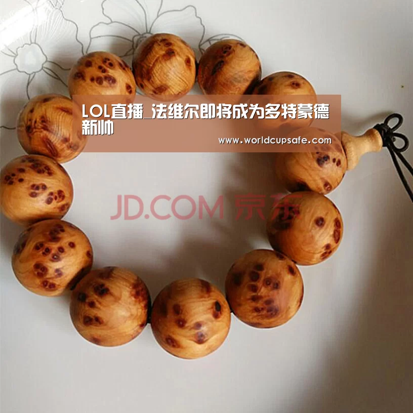 LOL直播_法维尔即将成为多特蒙德新帅(图2) 开云电竞官网