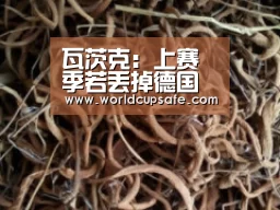 开云电竞官网