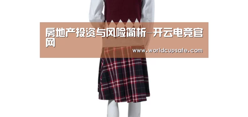 房地产投资与风险简析-开云电竞官网(图2) LOL直播