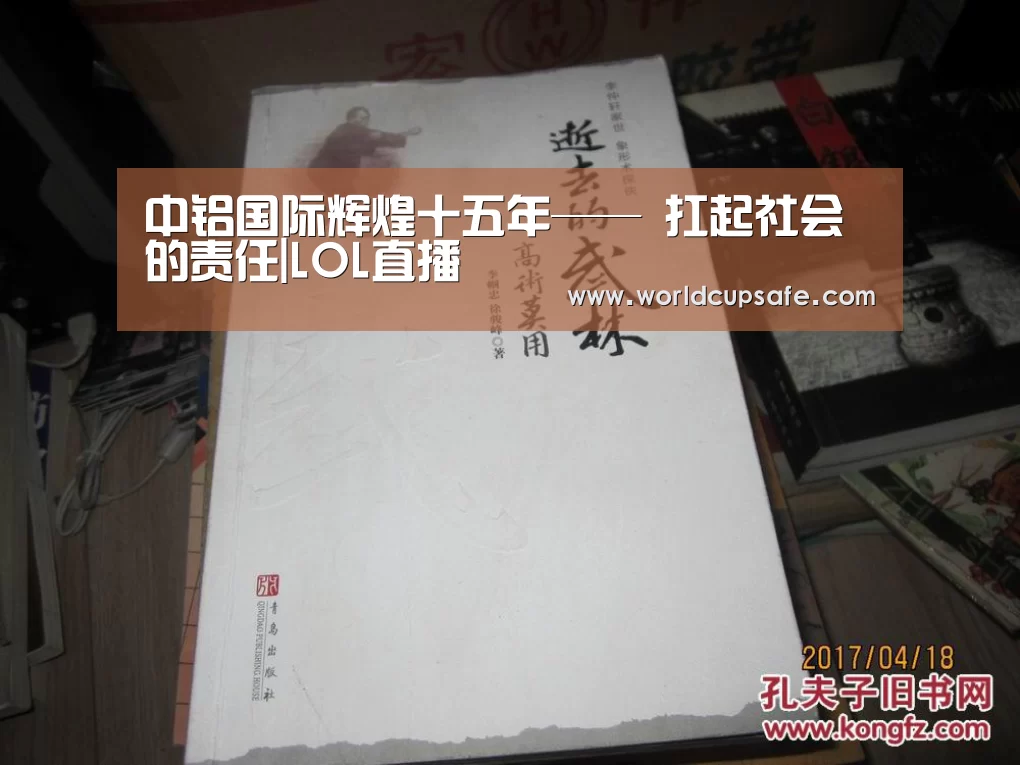 中铝国际辉煌十五年—— 扛起社会的责任|LOL直播(图1) LOL直播