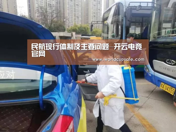 民航现行体制及主要问题-开云电竞官网(图1) 电竞官网