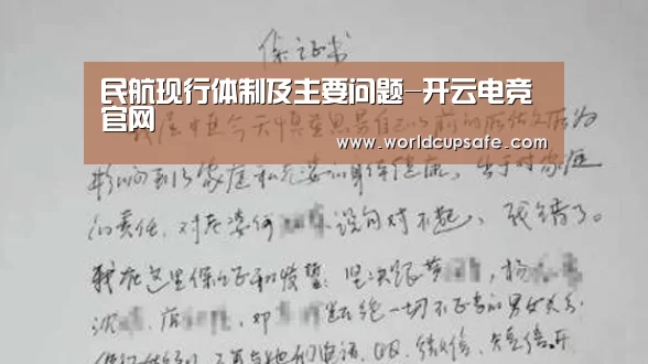 民航现行体制及主要问题-开云电竞官网(图4) 开云电竞官网