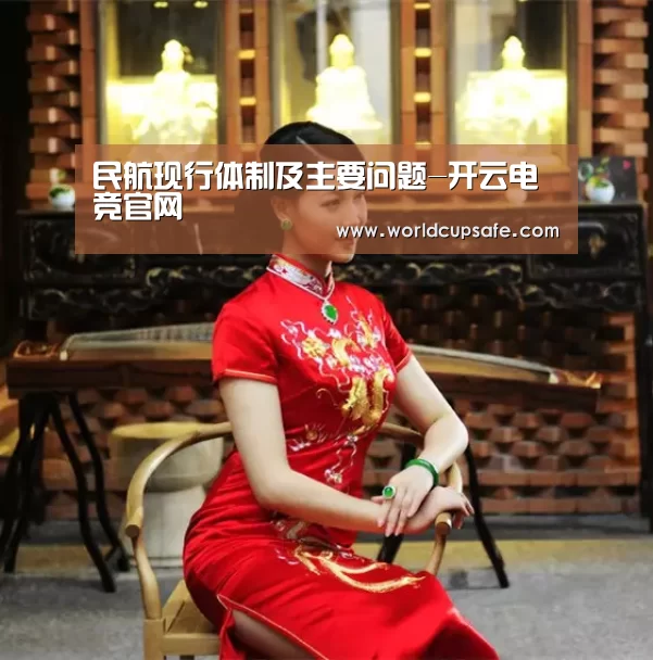 民航现行体制及主要问题-开云电竞官网(图2) LOL直播