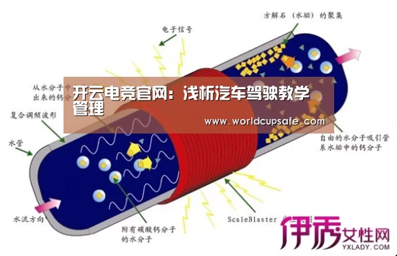 开云电竞官网:浅析汽车驾驶教学管理(图2) 开云电竞